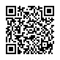 QR MIFLONIDE BREEZHALER 400MCG