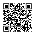 QR LEUKOSTRIP 4X38MM 8 STREIFEN