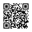 QR ZURIN RAEUCHERPATRONEN