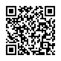 QR CAPSTAR L AD US VET.