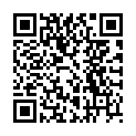 QR Бургерштейн витамин B6 100 мг 100 таблеток