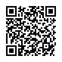 QR WEL ARGENTUM METALLICUM D3