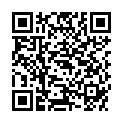 QR BROXO ERSATZBUERSTEN UNIVERSEL