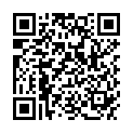 QR WILLI FOX ALKOHOLTESTER