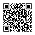 QR BD MICROFIN ULT PEN NAD 0.25X6