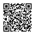 QR PHYTOMED SCH NR11 SILICEA D12
