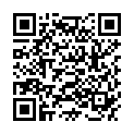 QR NITROGLYCERIN BICHSEL SALBE