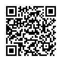 QR ATOMISOR NL9MP NEBUL MINI AV M