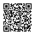 QR SHUYAO TEEKULT 113.INGWER APFE