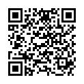 QR WEL LEONURUS CARDIACA DIL D1