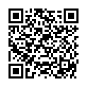 QR ODINELIXIR ESS FERTIGMI EX