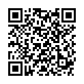 QR QUICK AID ANIMAL BANDAGE BOX
