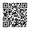 QR ESTALIN SPECIAL POLITUR DUNKEL