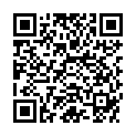 QR RZ CODEX PFLEGEREINIGER 310