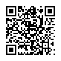 QR METACAM HUNDE ORALE