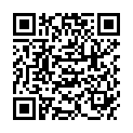 QR PUDOL PRESTO GLANZREINIGER