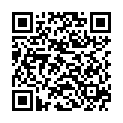 QR Natracare Maxi-Binden Normal 14 штук