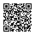 QR LUCIDO MOEBELPFLEGEMITTEL