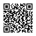 QR SANOTINT OLIO NON OLIO SCHUTZL