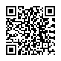 QR Др. Х. Метц Панактив жидкие пивные дрожжи 500 мл