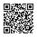 QR WILLI FOX ALKOHOLTESTER
