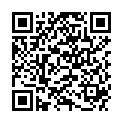 QR METAMIZOL SPIRIG HC 500MG/ML