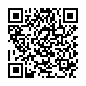 QR ESSENZAVITA ARTISCHOCKE+CHOLIN