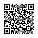 QR DURGOL SWISS STEAMER
