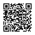 QR RICO KUNSTSTOFF REINIGER SPR 5