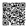 QR INCIDIN ALCOHOL FLCHENDESINFEK