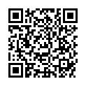 QR SHUYAO TEEKULT 113.INGWER APFE
