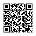 QR BIBI BABYBUERSTE U KAMM SV-A+B