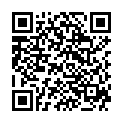 QR Preventef Insektizidhalsband Katze