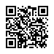 QR Геволь Хорнаут-Швам  пемза для удаления загрубевшей кожи 1шт.