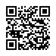 QR Sanotint Faerbepinsel