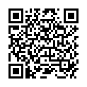 QR CUPPER ZITRONENTEE INGWER BIO