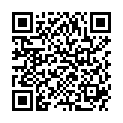 QR NIPRO 1XKA 0.6X30MM23GX1/1/4BL