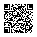 QR RABENHORST INGWER MIX SAFT BIO
