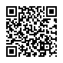 QR MEPIVACAIN SINT INJ 1% VIA