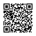 QR CHANDOR HAIR FIX NORMALE AERO