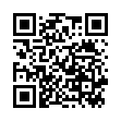 QR BLOX DISPLAY GROSS LEER