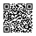 QR Sanotint шампунь Strapazierte Haare 200мл