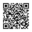 QR AMBIANCE DUFTOEL LOSE MINZE