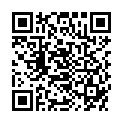 QR MORGA PFEFFERMINZ TEE GESCHNIT