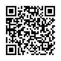 QR MORGA TEE WILD FOREST
