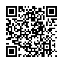 QR FLASH PLUS SET BRAUN KURZ