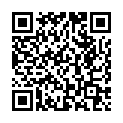 QR XYLESIN INJ LSG 0,5% STECH