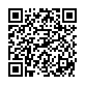QR LAMPE BERGER PARFUM TEST MENTH