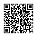 QR AEROXON FLIEGENFNGER