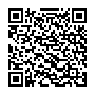 QR Floradix Vitamine + organisches Eisen Saft Flasche 250мл